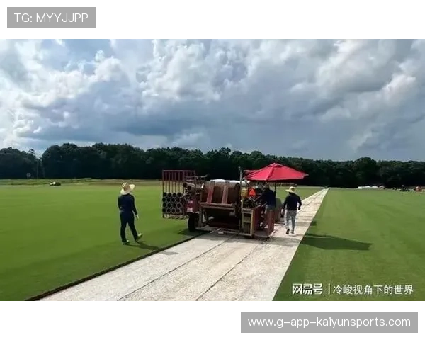 2026世界杯16大承办场馆草坪微气候横向对比：智能灌溉深度如何改变单场淘汰赛球速